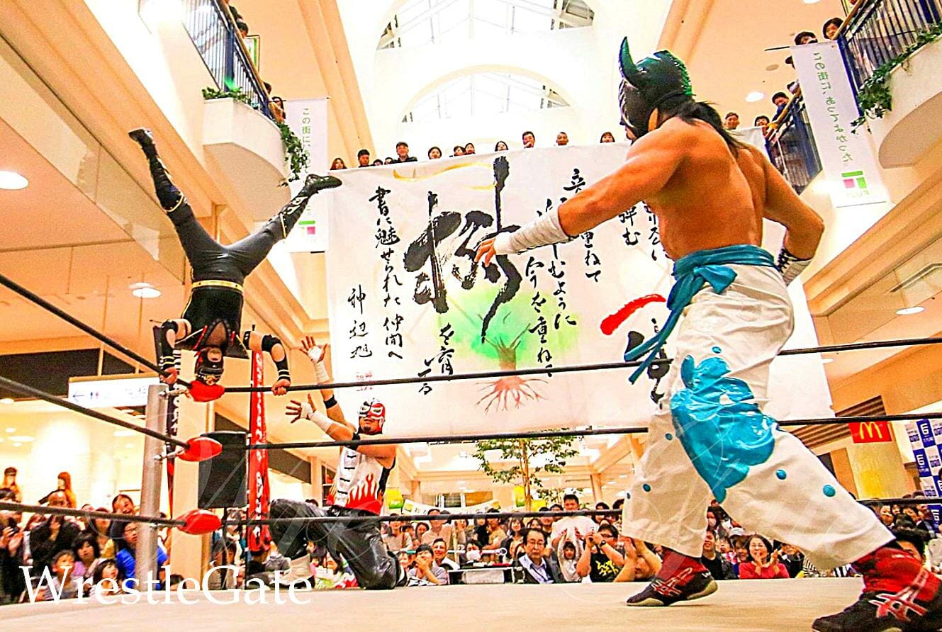 写真:レッスルゲートのプロレスの様子