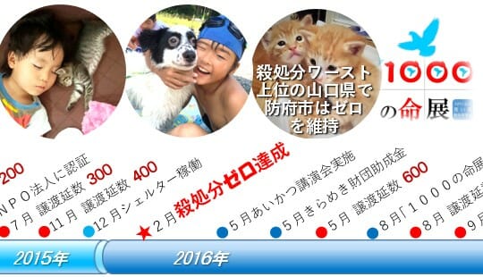 年表