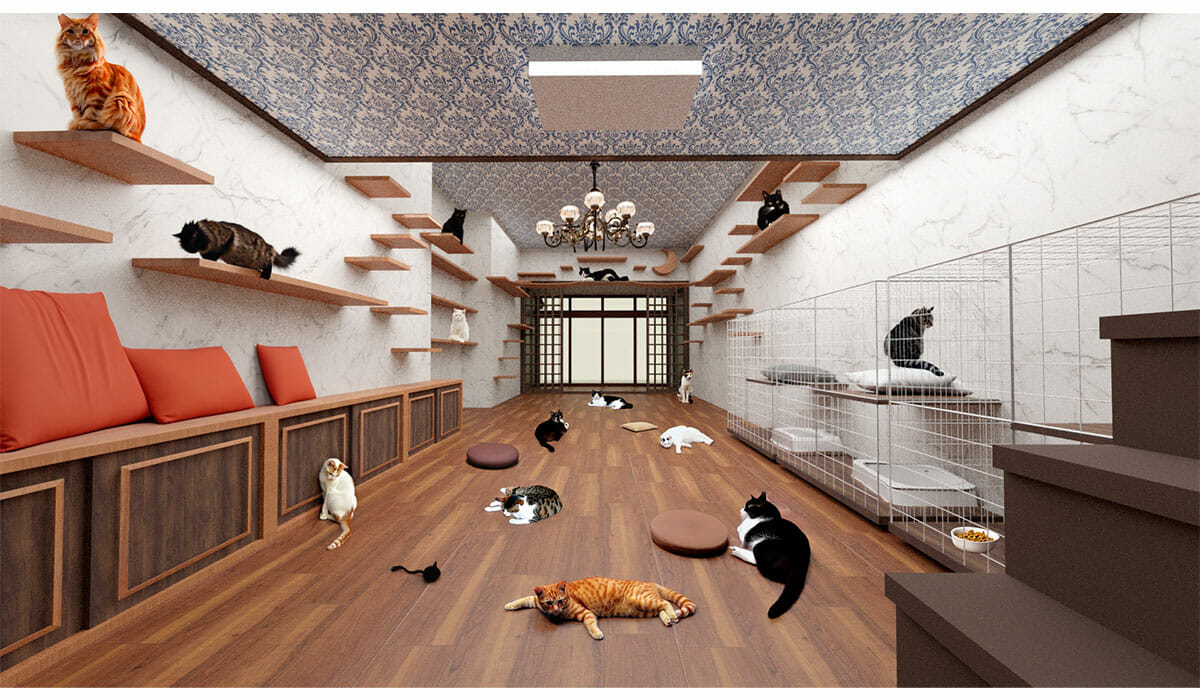 保護した猫たちのフリー部屋のイメージパース